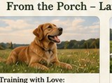 Simple Homestead Projects