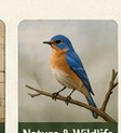 Nature & Wildlife