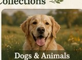 Dogs & Animals